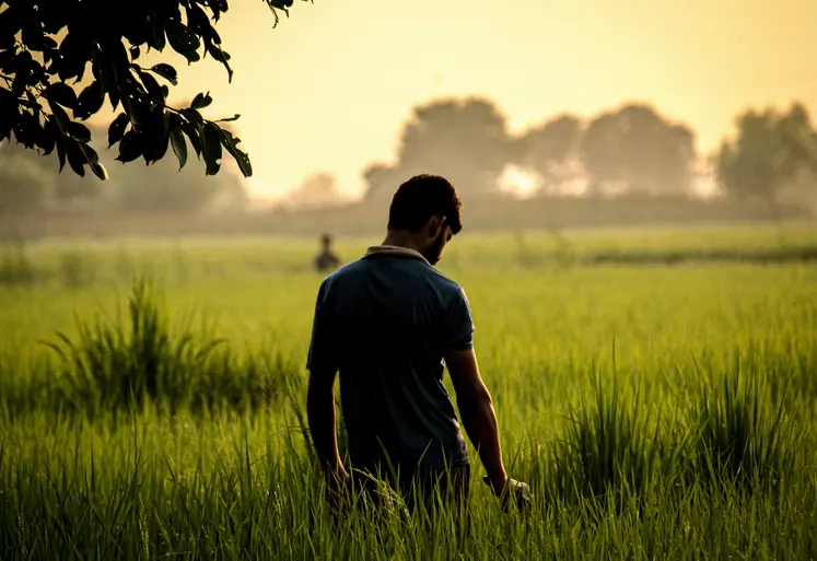 homme seul triste agriculteur bien-être travail agricole