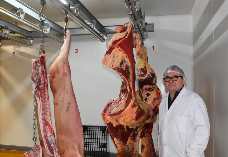 Un homme avec une blouse et une charlotte alimentaire devant des carcasses de boeuf et de porcs suspendus par des crochets.