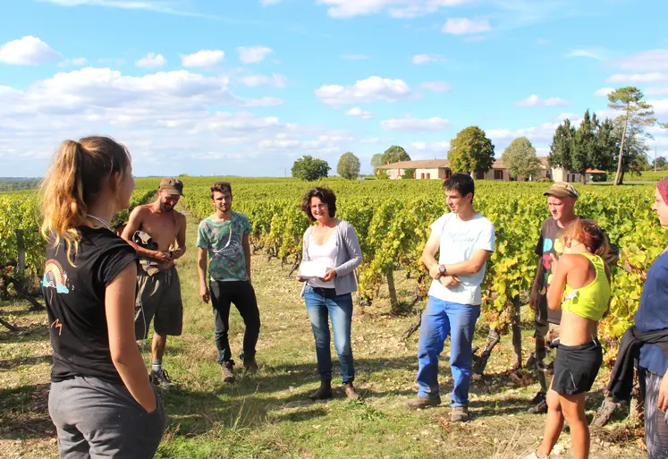 Groupe de personnes suivant une formation dans un vignoble par un temps ensoleillé