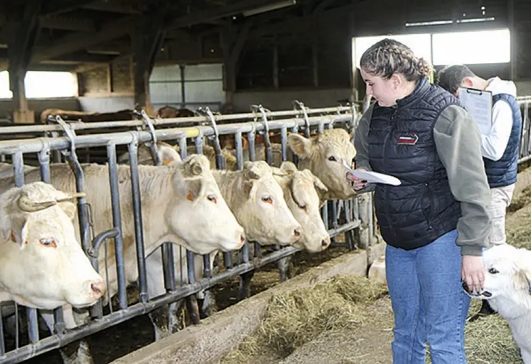 Les élèves en plein concours de pointage sur la ferme de Benjamin Boulard