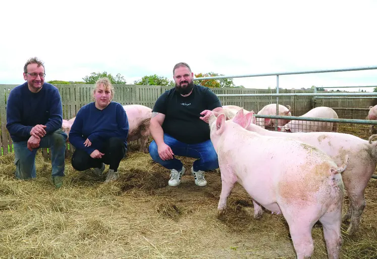 Un homme, une femme, et un homme accroupis au milieu des cochons