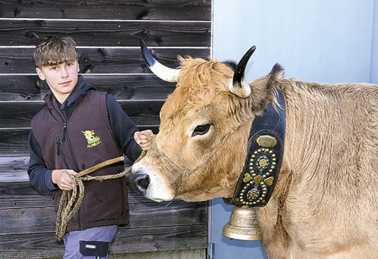 La sélection Aubrac à la grande halle d'Aumont-Aubrac