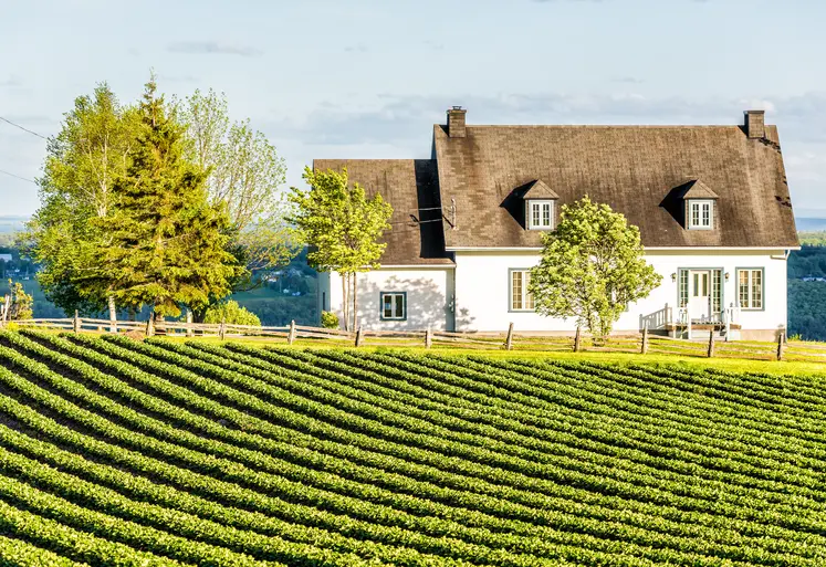 Paysage de campagne avec un champ cultivé et une maison et des arbres en arrière plan