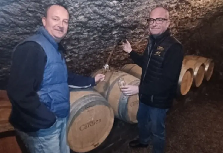 Deux vignerons devant leur production de vin du terroir