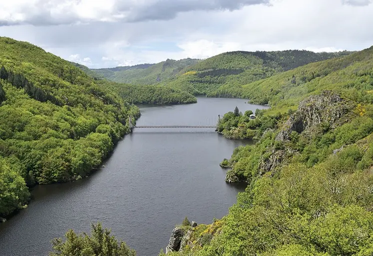 Une rivière coule au milieu de collines verdoyantes