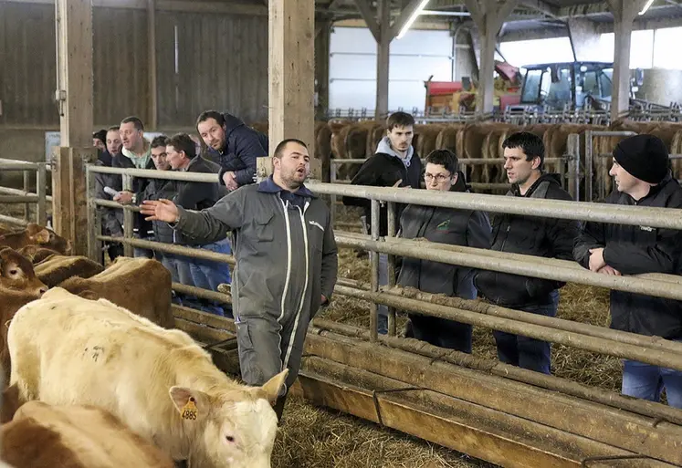 Un éleveur dans l'enclos avec sa vache limousine, discute avec d'autres éleveurs aux barrières