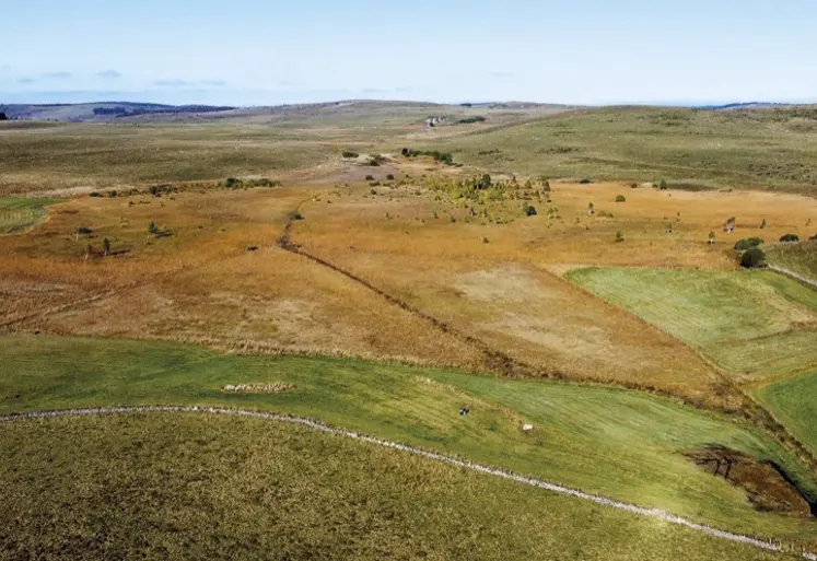 La tourbière des Roustières, site témoin du changement climatique en Aubrac