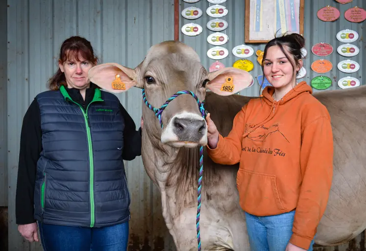 vache brune qui pose avec ses éleveuses