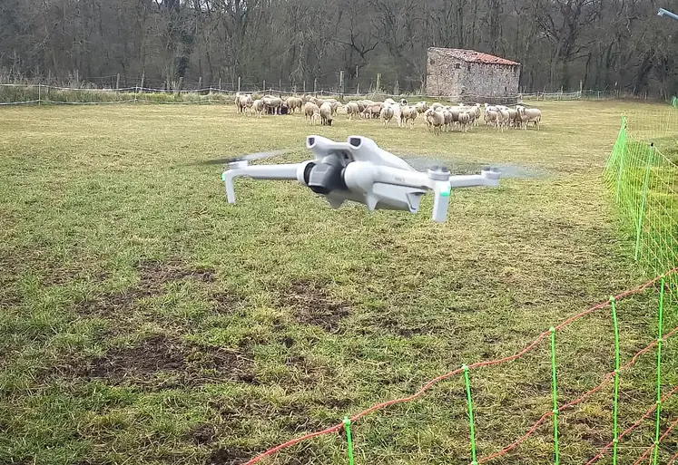 drone surveiller clôtures terrain agricole surveillance sécurité