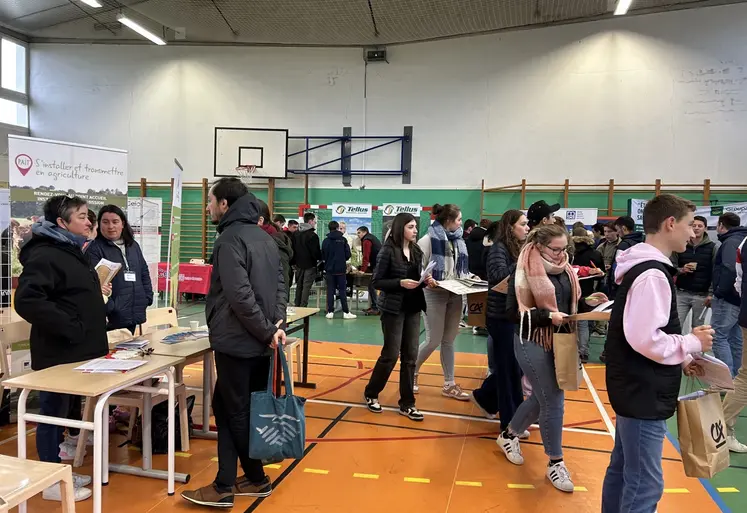 Des stands d'exposition dans un gymnase d'établissement scolaire