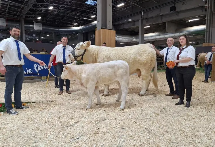 vache taureau charolais éleveurs puy de dôme salon paris