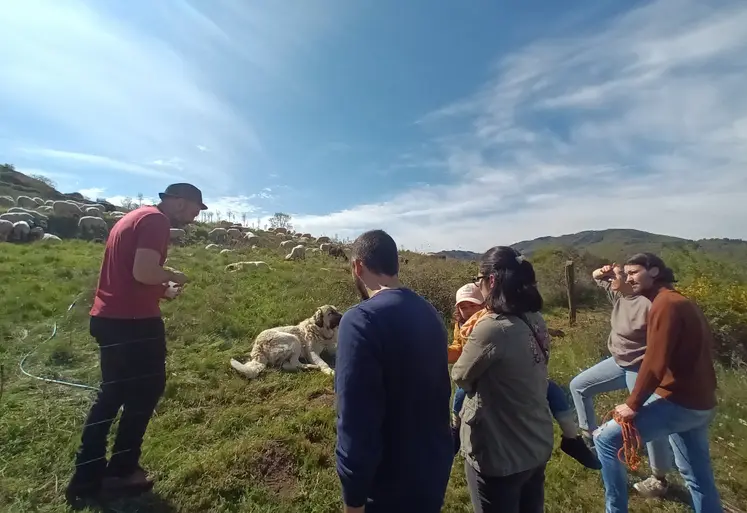 Ferme ovine