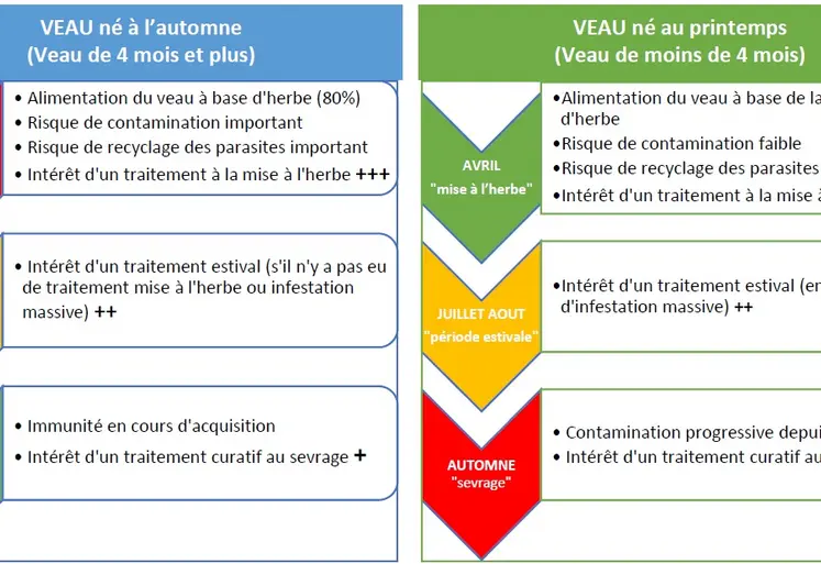 Trois possibilités de traitement peuvent être mises en place : préventif, préventif-curatif ou curatif. Plusieurs critères vont permettre de choisir sa stratégie mais le principal reste la période de naissance des veaux. Dans tous les cas, un examen clinique régulier des animaux permet d’évaluer voire de corriger le protocole de traitement initialement prévu en intégrant la notion de mise en place de l’immunité pour les futurs reproducteurs.