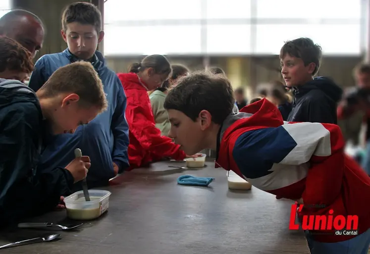 Ateliers pour enfants autour du caillé sur une ferme ouverte. 