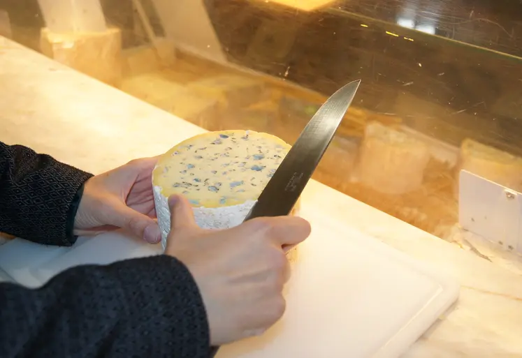 fourme d'ambert