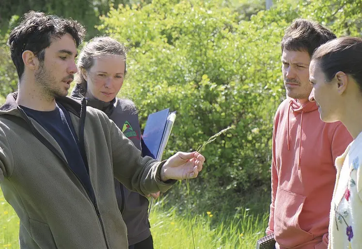 Journée technique sur les prairies naturelles