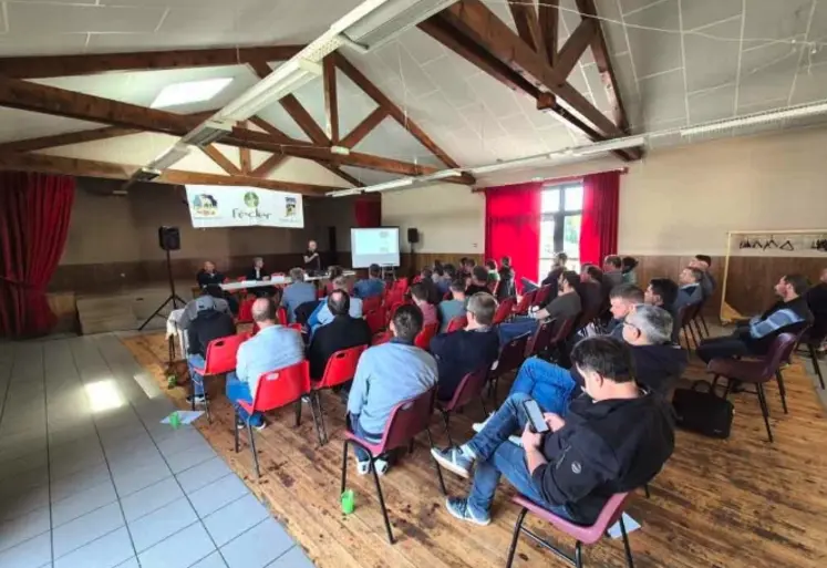 ag copagno
