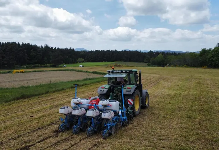 Le strip-till limite l'érosion des terrains et réduit les besoins en carburant. En revanche, son usage est plus difficile, plus précis, et donc plus risqué en termes de rendements.