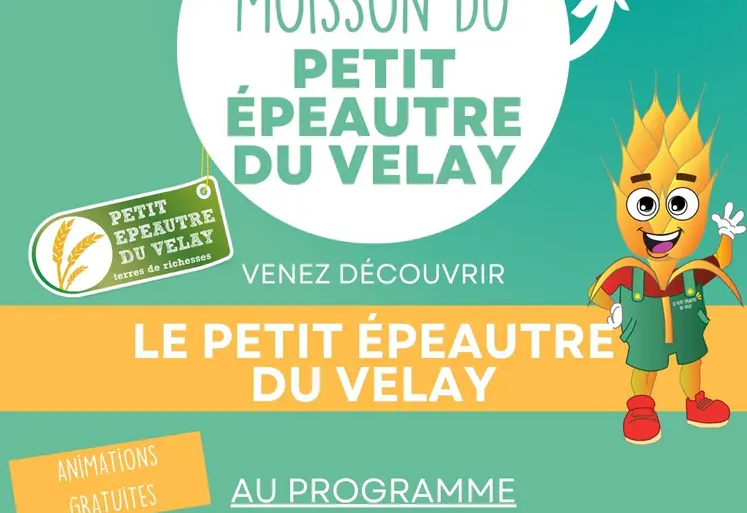 Affiche fête