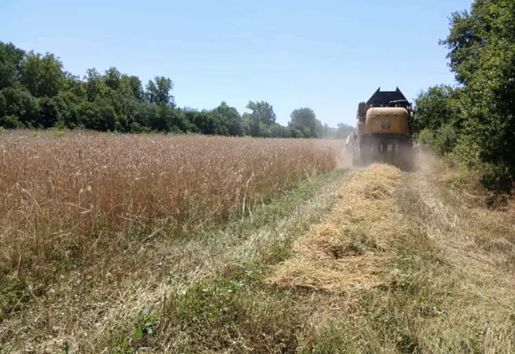 machine agricole dans champs