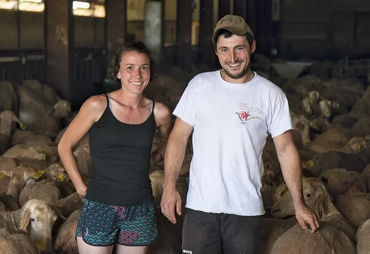 Bastien Perségol et Mathilde Richard avec leur troupeau de brebis laitières