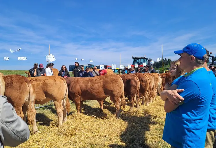 Un protocole sanitaire strict avait été mis en place par les organisateurs : "le but d'un concours est de motiver les éleveurs, pas de rentrer avec des animaux malades" explique Alain Valleix, président du Syndicat Limousin. 
