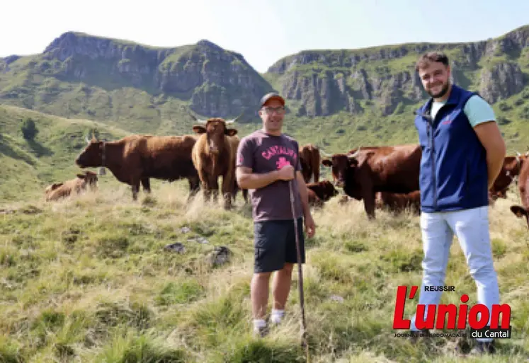 Deux éleveurs et leur troupeau salers, dans un paysage de montagne. 
