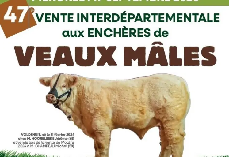 Affiche 47ème vente ALSONI