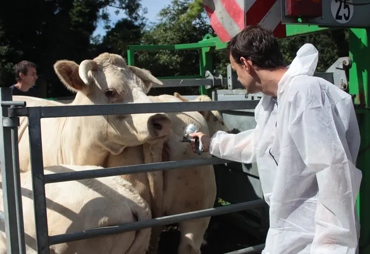 La vaccination va démarrer au plus vite dans le nouveau périmètre DNC.
