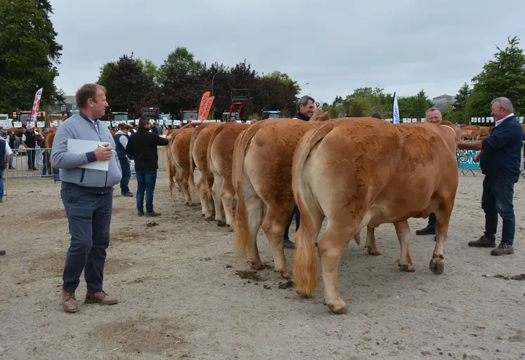 Les juges et le public ont pu apprécié la grande qualité des animaux présentés.