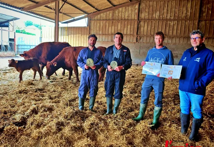 trois éleveurs et un technicien tiennent des trophées aux côtés de vaches et veaux salers