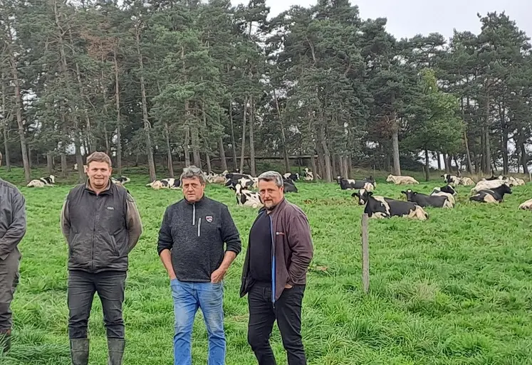 Romain, Laurent, Philippe Merle et Antoine Moulin, les 4 associés du Gaec de la Petite Croix à St Maurice de Lignon misent sur la génétique de leur troupeau mais aussi l'alimentation en commençant par l'optimisation des fourrages. 