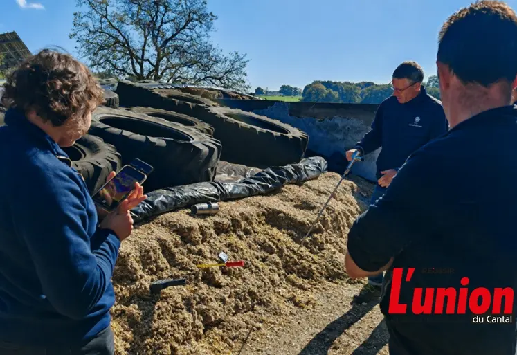 personnes de dos devant un ensilage d'herbe
