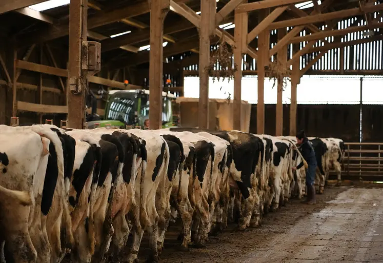 Pour les producteurs de lait, l'interprofession doit être une instance de dialogue  sur tous les sujets.
