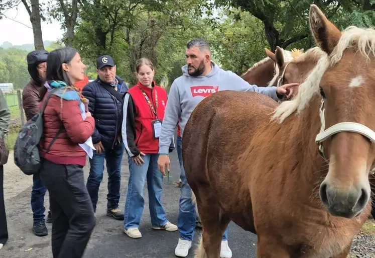 La présentation du fonctionnement du schéma génétique français a particulièrement intéressé une délégation bélarusse en quête d’informations sur l’organisation des contrôles de performances équins