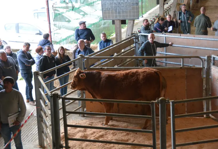 Virtuo est partie pour la somme de 11400€.