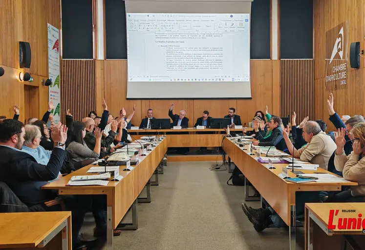 une assemblée vote unanimement à main levée