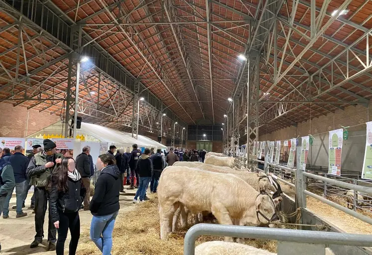vue d'ensemble du concours de Montmarault