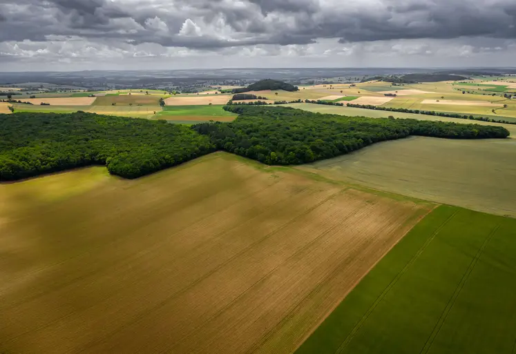 vue aérienne de terres agricoles