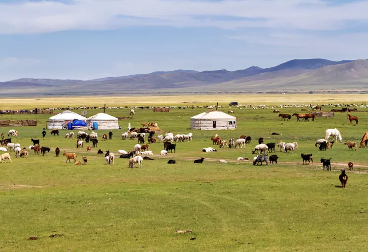 La Mongolie est à l'initiative de l'Année Internationale des Parcours et du Pastoralisme (AIPP) 2026.