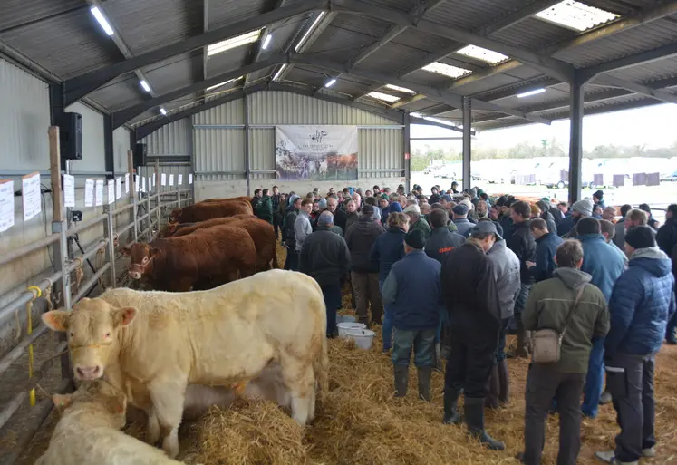 Les acheteurs étaient au rendez-vous pour cette première hivernale.