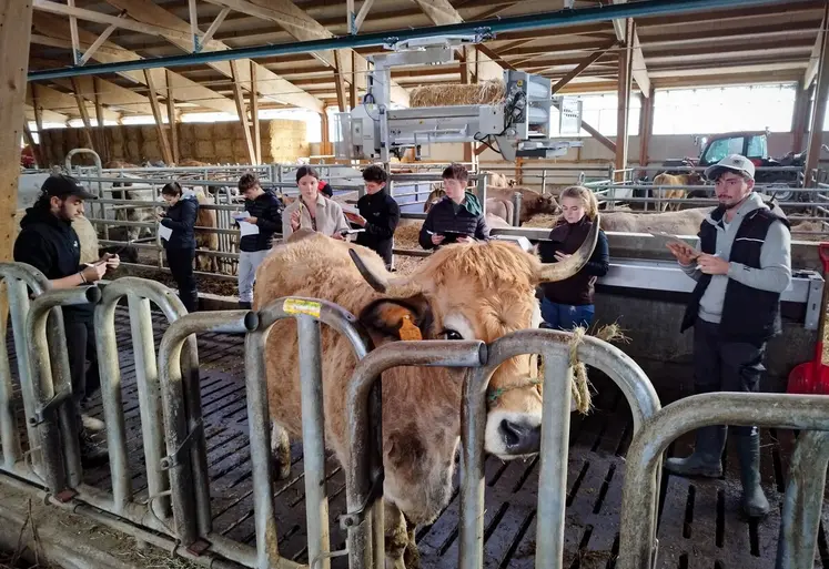 Les candidats concentrés dans l’exercice de pointage