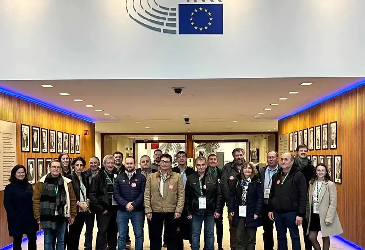 La délégation d'Auvergne-Rhône-Alpes en séminaire à Bruxelles.