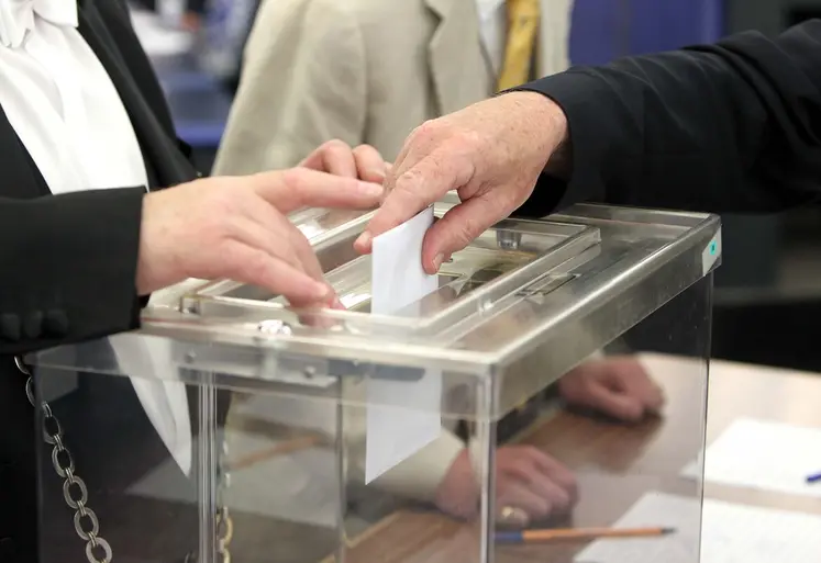 Les élections municipales se dérouleront les 15 et 22 mars prochains. 