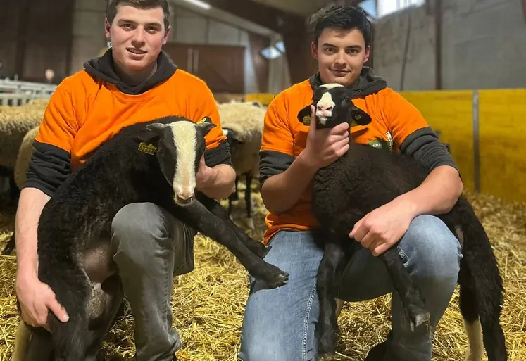 Alexandre et Simon, es deux vainqueurs de la finale auvergnate des ovinpiades des jeunes bergers.