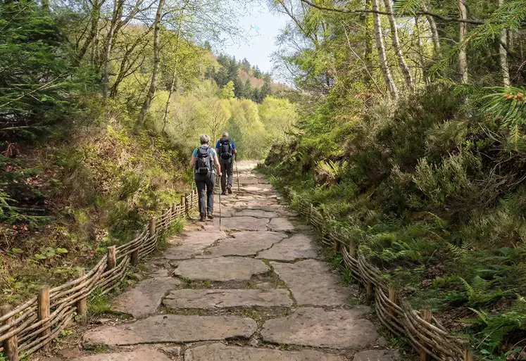 L'accès à la carrière du puy de La Vache sera réaménagé en un chemin pavé de pierres noires. La pente actuelle sera réduite pour faciliter l'accès.  