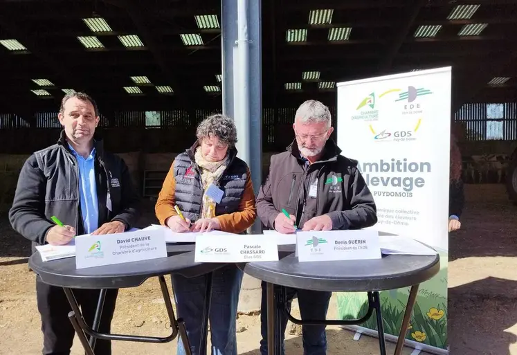 David Chauve, président de la Chambre d'agriculture du Puy-de-Dôme, Pascale Chassard, élue du GDS et Denis Guérin, président de l'EDE du Puy-de-Dôme ont signé le projet Ambition Élevage pour renforcer les liens entre les 3 structures et propose un accompagnement mutualisé des élevages. 