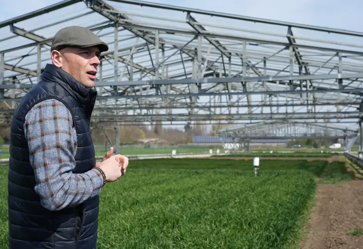 Laurent Falchetto, directeur de l'unité Phéno3C à l'INRAE présentant la parcelle de phénotypage haut-débit.