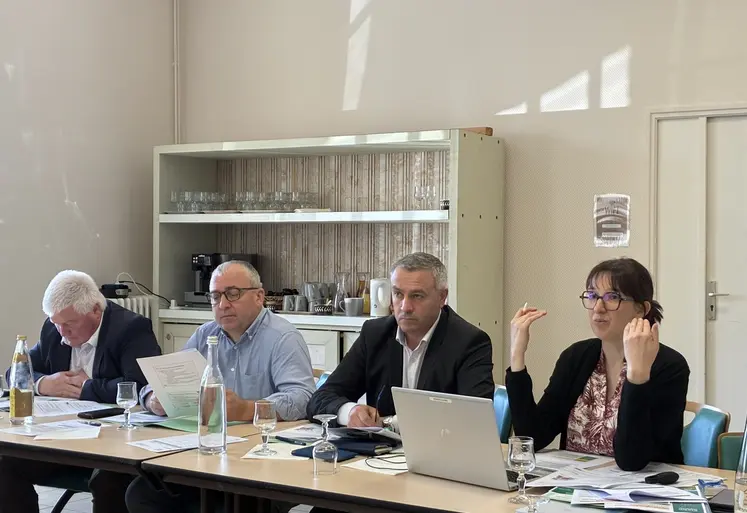 De gauche à droite : Jean-Luc Perrin, Patrick Bénézit, Yannick Failip et Léa Geneix.