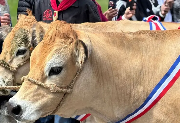 C'est bientôt la fête du Fin Gras !